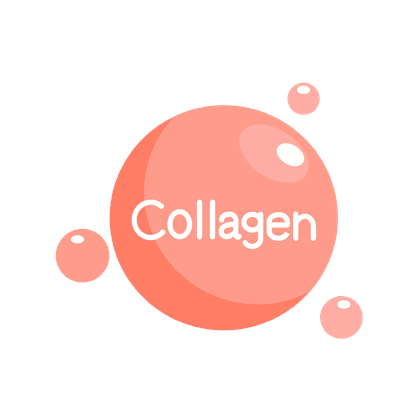 Collagen type VI