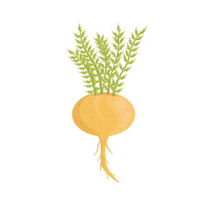 Мака перуанская