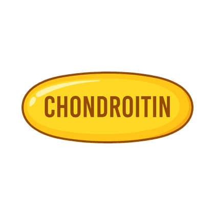 Chondroitin